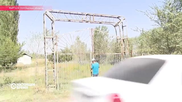День шакала в Кыргызстане: животные взяли в осаду жителей Ошской области