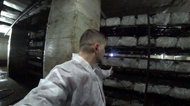 #5 ШАМПИНЬОНЫ ПО ТЕХНОЛОГИИ. СБОР УРОЖАЯ | ФАЗА СТОП смотреть онлайн