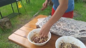 Шашлык из куриной и индюшиной печени в жировой сетке