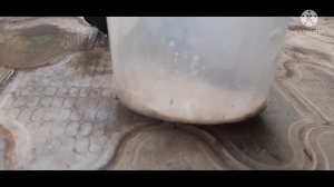 Из обычного пылесоса, аппарат для влажной уборки салона