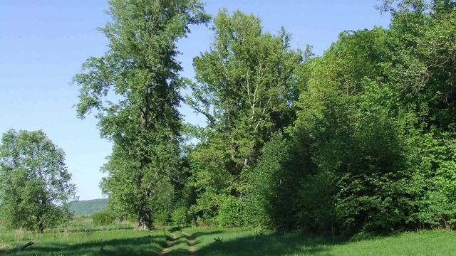 Фадеевы горы. смотреть онлайн