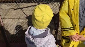 Семейная Усадьба Бахаревых.mp4