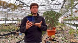 ГОРШКИ ДЛЯ ХАВОРТИЙ ПЛАСТИК И КЕРАМИКА. ОБЗОР ГОРШКОВ ДЛЯ СУККУЛЕНТОВ. КАКИЕ И ДЛЯ ЧЕГО Я ИСПОЛЬЗУЮ