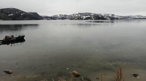 Ура Губа(прилив)