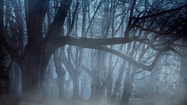 ЛАЗ В УГЛУ ДВОРА. Страшные истории на ночь. Страшилки. Жуткие истории смотреть онлайн