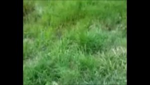 исток реки ДНЕПР