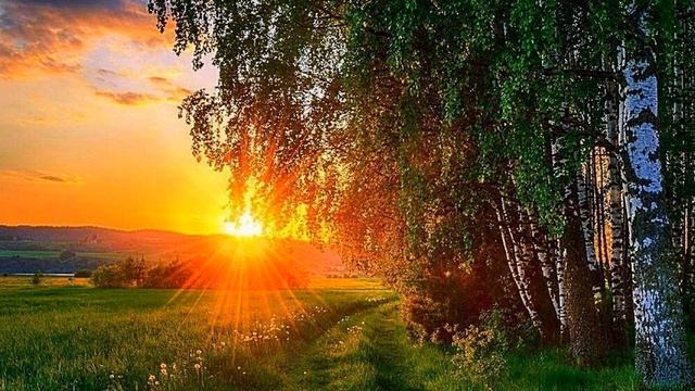 Стихотворение "Жаль, не успел" (Автор Татьяна Усова) смотреть онлайн