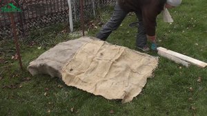 ? Укрываем розы на зиму: плетистая трёхлетка и мускусные розы, посаженные этой осенью - 7 дач