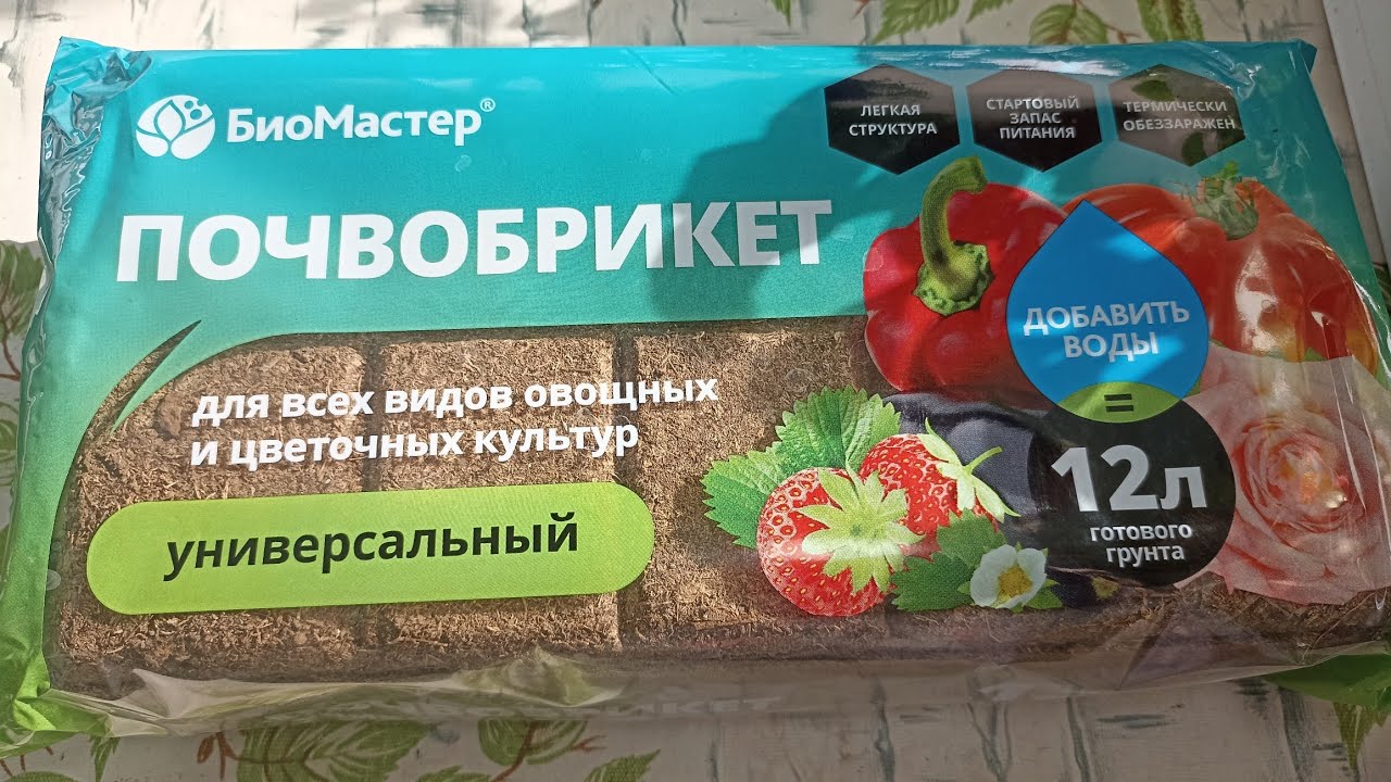 Почвобрикет универсальный, так ли он хорош?  Обзор всходов.