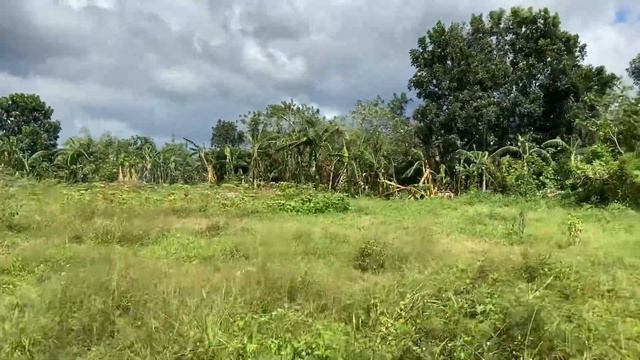 Vlog404: 1 HECTARE FARM LOT WITH MOUNTAIN VIEW FOR SALE IN PADRE GARCIA BATANGAS PHILIPPINES смотреть онлайн
