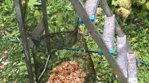 Как легко, быстро и просто помыть много опят