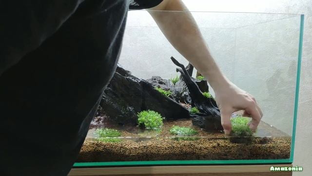 Аквариум 100 литров / Aquarium 100 liters смотреть онлайн