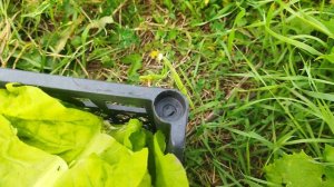 Неожиданная встреча. 20.08.2024г.