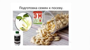 Встреча с представителем НПО "Арго ЭМ-1" Е.В.Кохановской