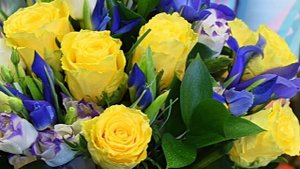 Haapsalu Lillekuller®