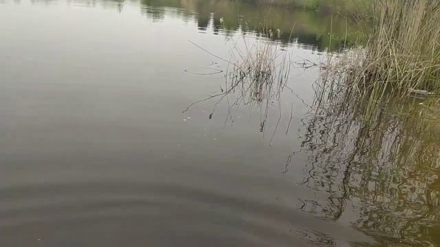 Лодочный мотор из гироскутера смотреть онлайн