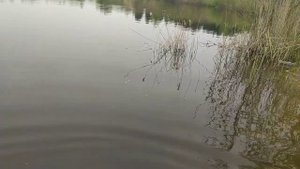 Лодочный мотор из гироскутера