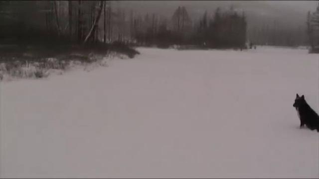 Труд Охотника смотреть онлайн