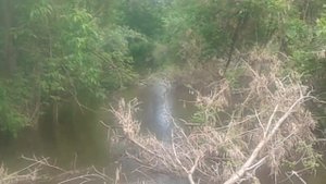 Речка Гнилуша.