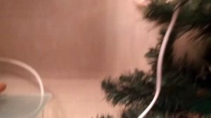 Влажность и температура в квартире