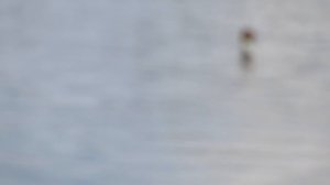 Весенняя рыбалка проверка сетей на озере