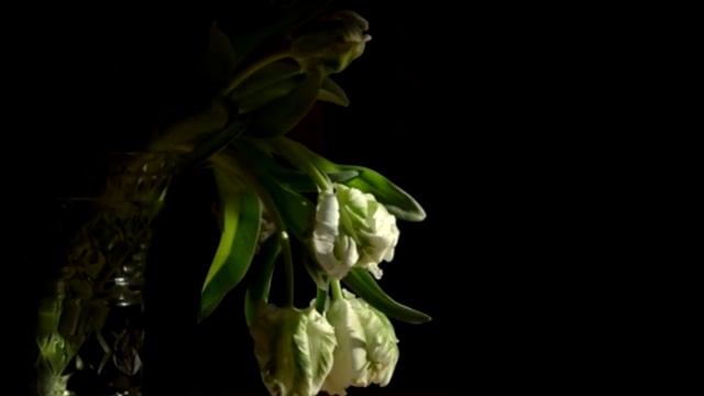 Букеты красивых цветов Композиции Музыка \Bouquets of beautiful flowers Song Music смотреть онлайн