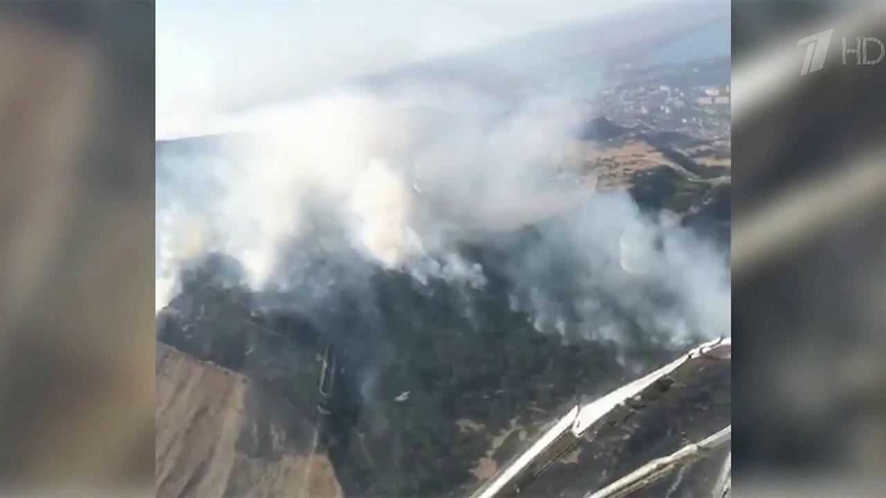 Ситуация в тарках дагестан на сегодняшний. Пожар в Дагестане. Пожар в Махачкале. Лесной пожар в Дагестане. Пожар в Дагестане в Махачкале.