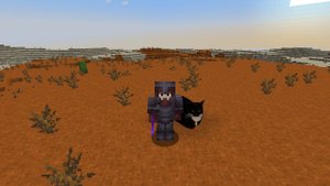 Я встретил кота Максвелла в "Майнкрафте"