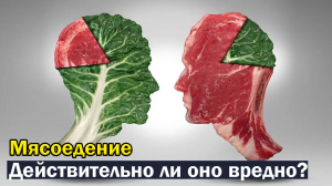 Почему нельзя есть мясо?
