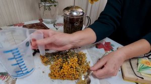 Пижма при описторхозе