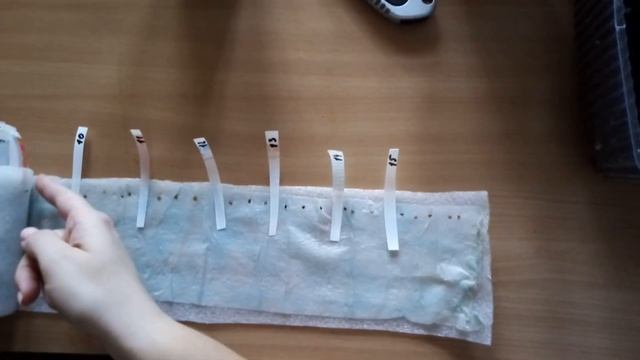 Как посадить 42 сорта по 3 семечка. Лайфхак смотреть онлайн