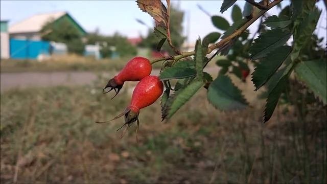 Немецкая классическая философия