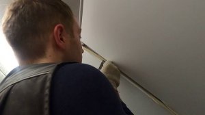 Как сделать стыковку световые линии с разделителем на натяжном потолке