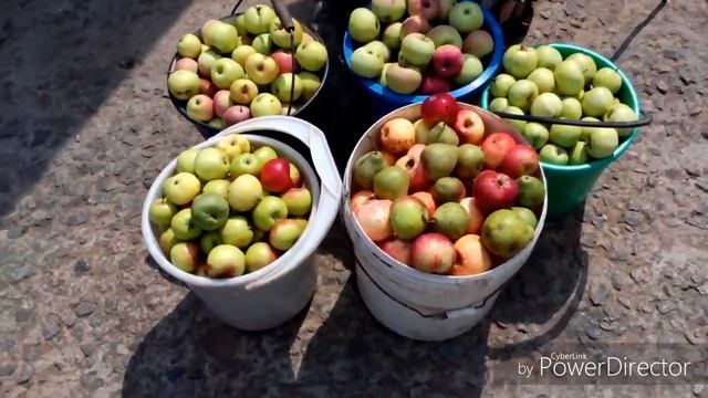 Давим яблочный сок. Очень быстрый и производительный способ. DIY electric apple crusher . смотреть онлайн