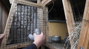 Кормушка для кроликов , бункерная !