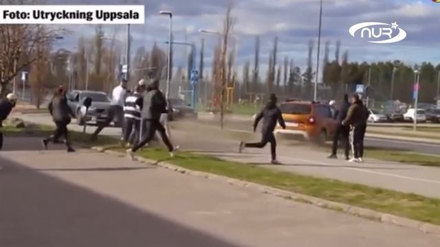 Швед решил сжечь Коран около мечети! Вот что вышло! смотреть онлайн