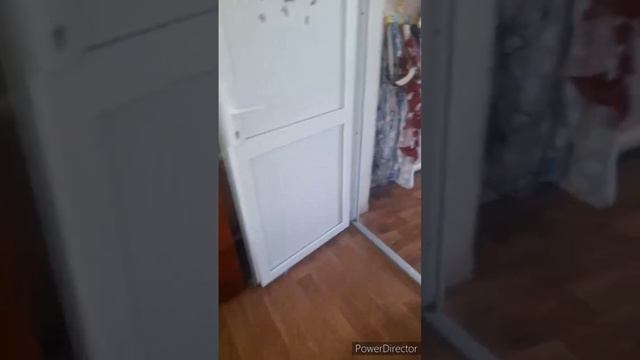 свои дыни//сезон заготовок//любопытная птица//браслет//(1 год назад)