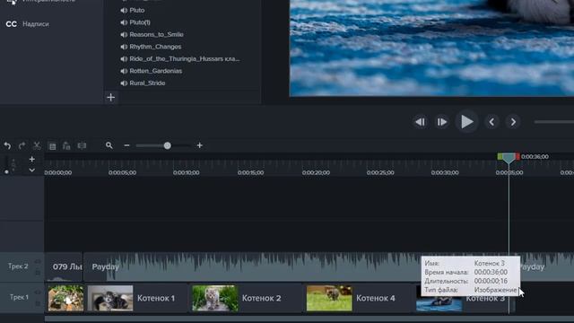 Монтаж видеороликов в программе "Камтазия студио 9" для начинающих (ч. 1). Как сделать видеоролик смотреть онлайн