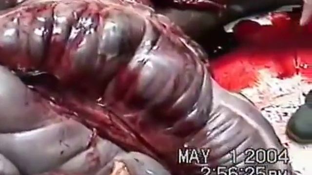 Колики и пат вскрытие смотреть онлайн