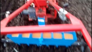 посев горчицы сеялкой СМ 6 с мотоблоком, всходы