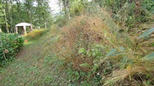 БАЛ ХРИЗАНТЕМ ОСЕНЬ В ДЕРЕВНЕ смотреть онлайн