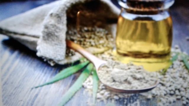 Конопляное масло  полезные свойства