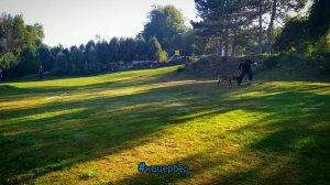 Чемпионат Крыма по мондьоринг 14.09.19