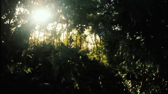Техника работы с внутренним критиком. Практика.