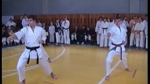 Kata Team - Heian Godan / Командное Ката - Хэйан Годан