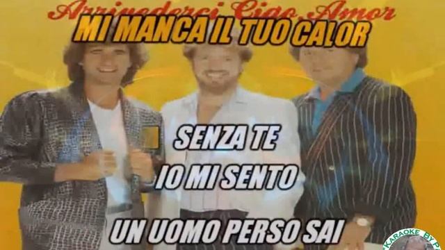 Die Flippers Arrivederci ciao amore KARAOKE FAIR USE смотреть онлайн