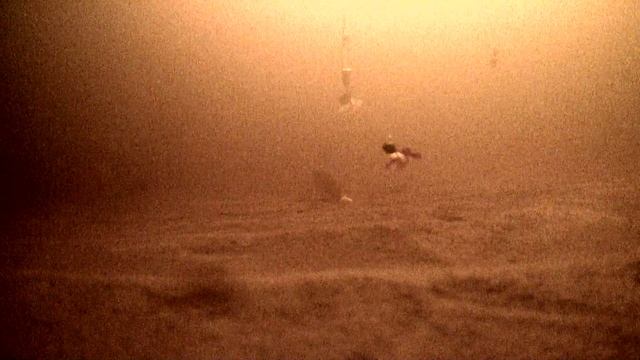 Ловля сига и корюшки! подводные съемки! 2 коса. Тестирование караката смотреть онлайн