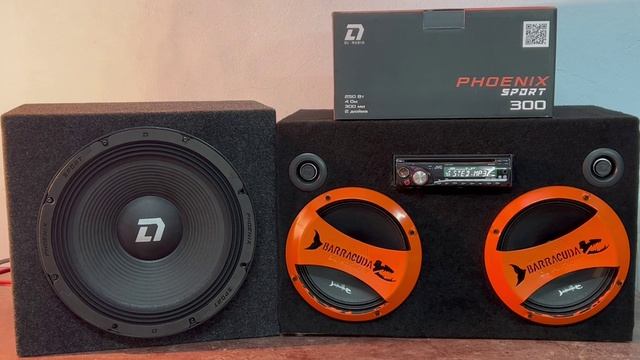 Phoenix 300. DL Audio Phoenix 300. Phoenix Sport 300. Эстрадный сабвуфер. Эстрадный сабвуфер 12.