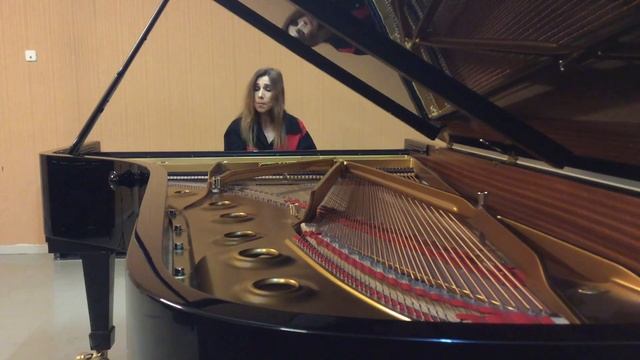 Chopin, Mazurka Op.17 No. 4 in A minor смотреть онлайн