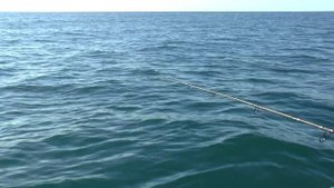 Рыбалка на Черном море 2021. Севастополь. Орловка. Немецкая балка. Отчет